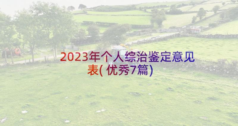 2023年个人综治鉴定意见表(优秀7篇)