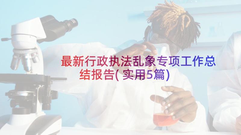 最新行政执法乱象专项工作总结报告(实用5篇)