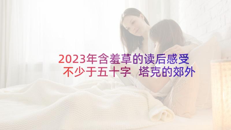 2023年含羞草的读后感受不少于五十字 塔克的郊外读后感塔克的郊外手抄报(优质5篇)