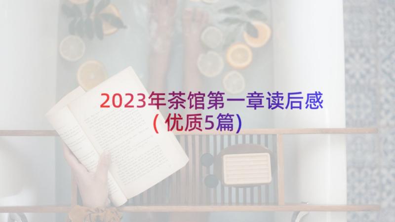 2023年茶馆第一章读后感(优质5篇)