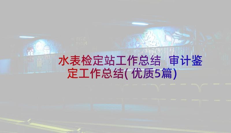 水表检定站工作总结 审计鉴定工作总结(优质5篇)