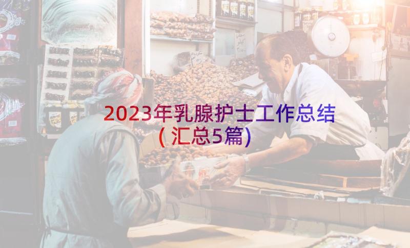2023年乳腺护士工作总结(汇总5篇)