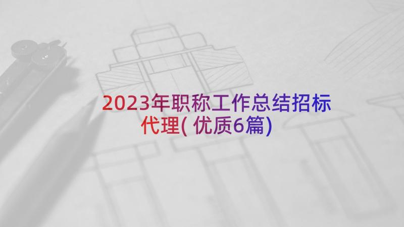 2023年职称工作总结招标代理(优质6篇)