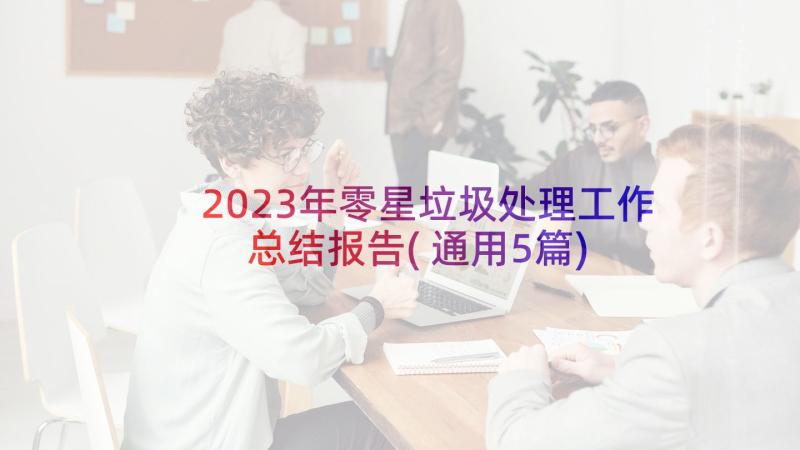 2023年零星垃圾处理工作总结报告(通用5篇)