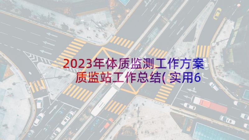 2023年体质监测工作方案 质监站工作总结(实用6篇)