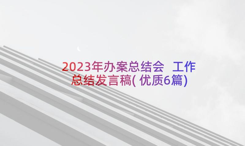 2023年办案总结会 工作总结发言稿(优质6篇)