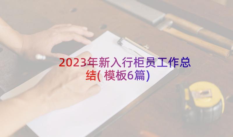 2023年新入行柜员工作总结(模板6篇)