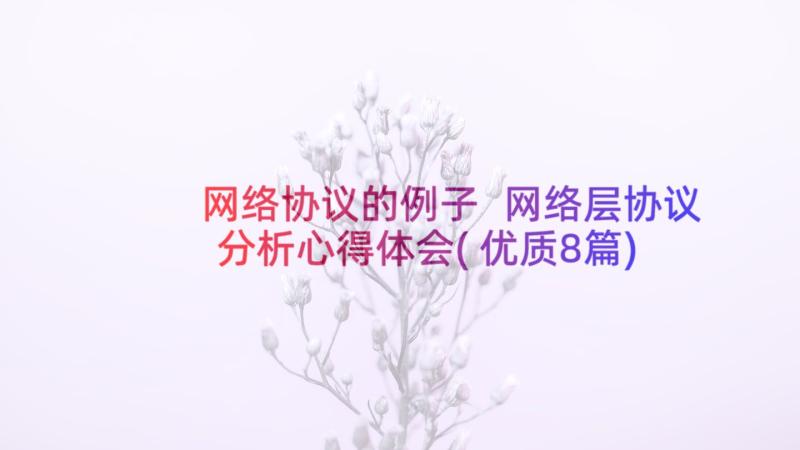 网络协议的例子 网络层协议分析心得体会(优质8篇)