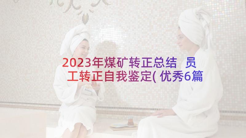 2023年煤矿转正总结 员工转正自我鉴定(优秀6篇)