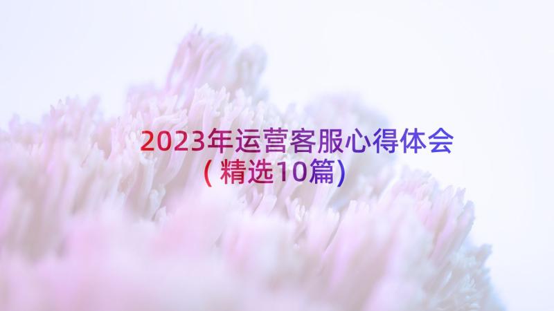 2023年运营客服心得体会(精选10篇)