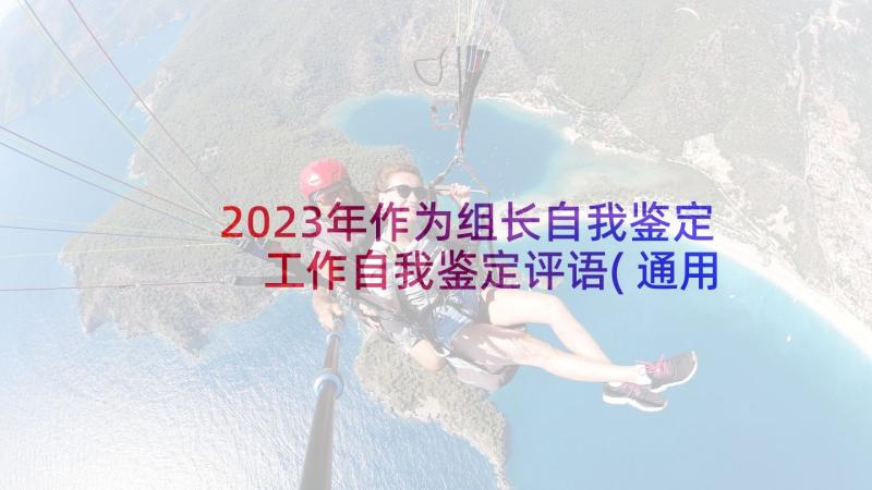 2023年作为组长自我鉴定 工作自我鉴定评语(通用8篇)