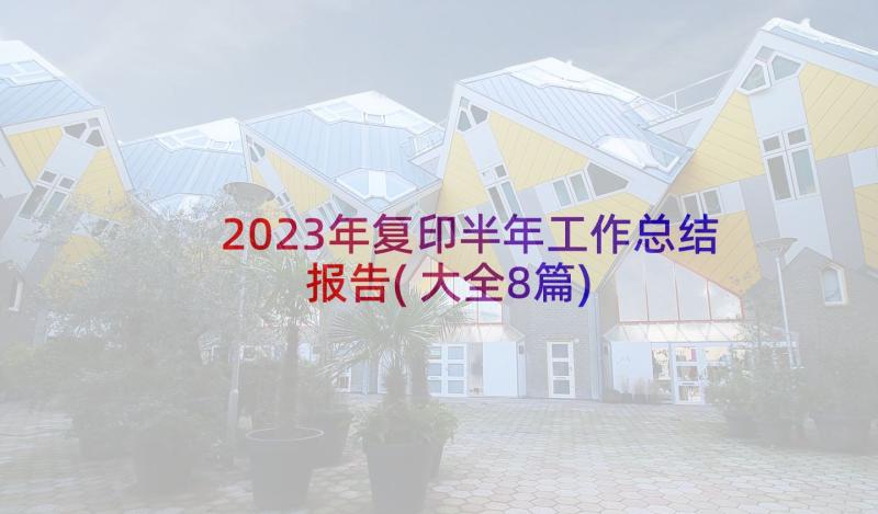 2023年复印半年工作总结报告(大全8篇)