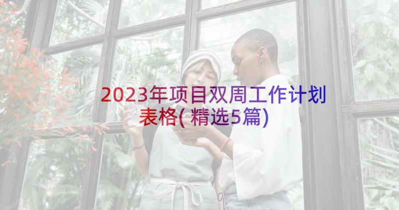 2023年项目双周工作计划表格(精选5篇)