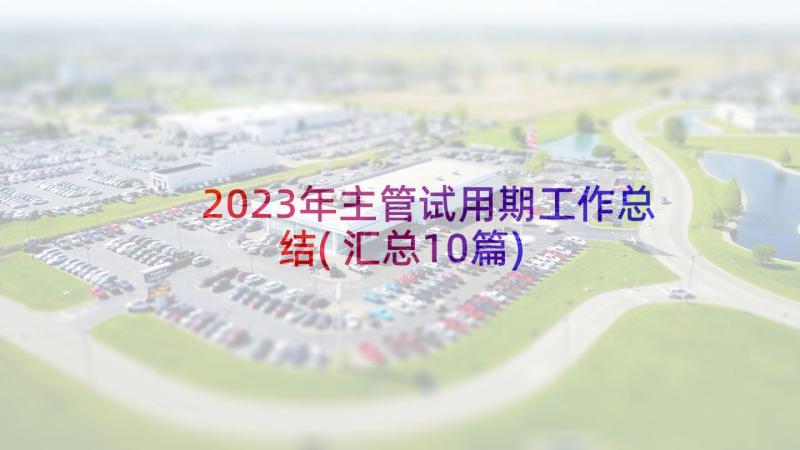 2023年主管试用期工作总结(汇总10篇)