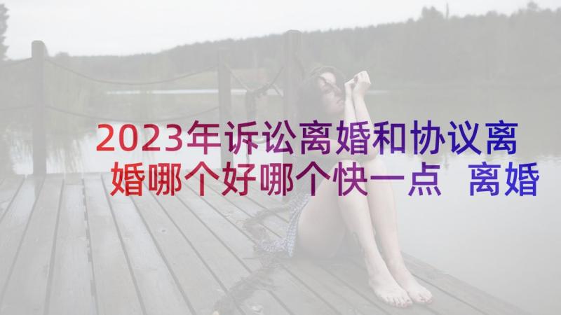 2023年诉讼离婚和协议离婚哪个好哪个快一点 离婚选择分协议还是诉讼(汇总5篇)