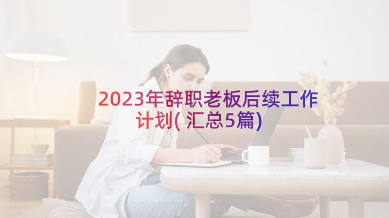 2023年辞职老板后续工作计划(汇总5篇)