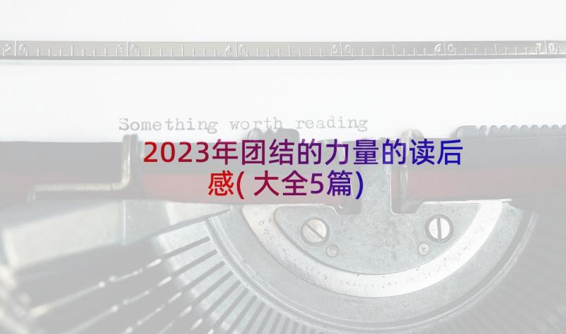 2023年团结的力量的读后感(大全5篇)