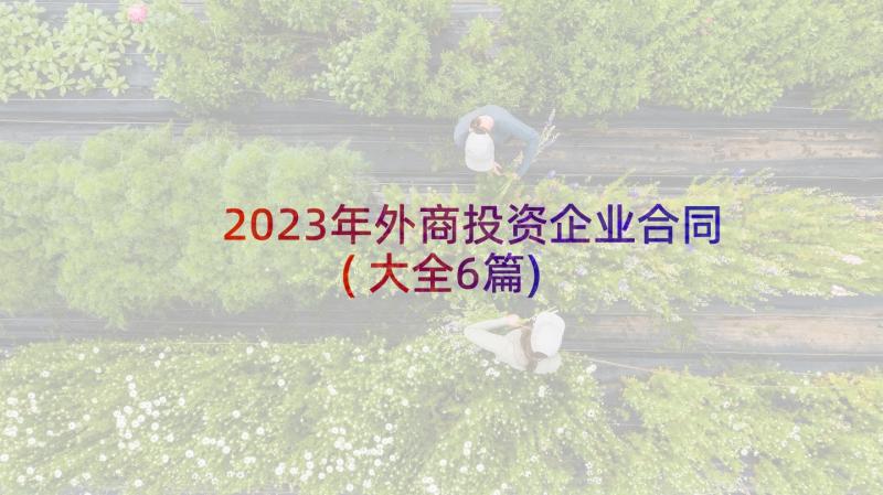 2023年外商投资企业合同(大全6篇)