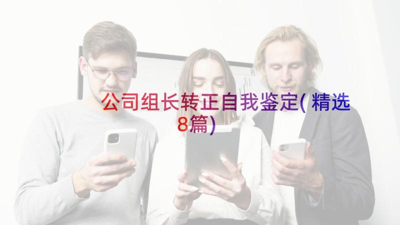 公司组长转正自我鉴定(精选8篇)