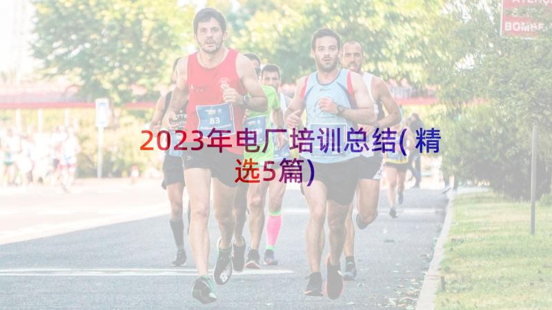 2023年电厂培训总结(精选5篇)