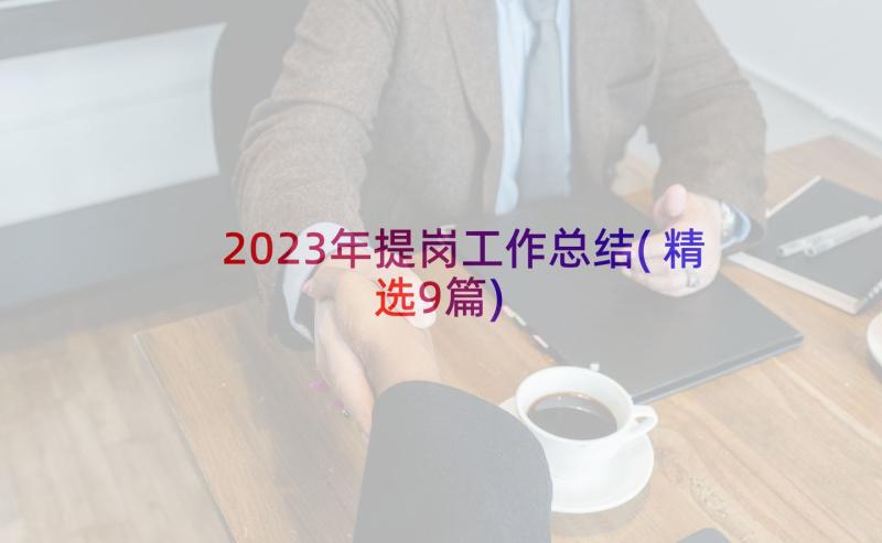 2023年提岗工作总结(精选9篇)