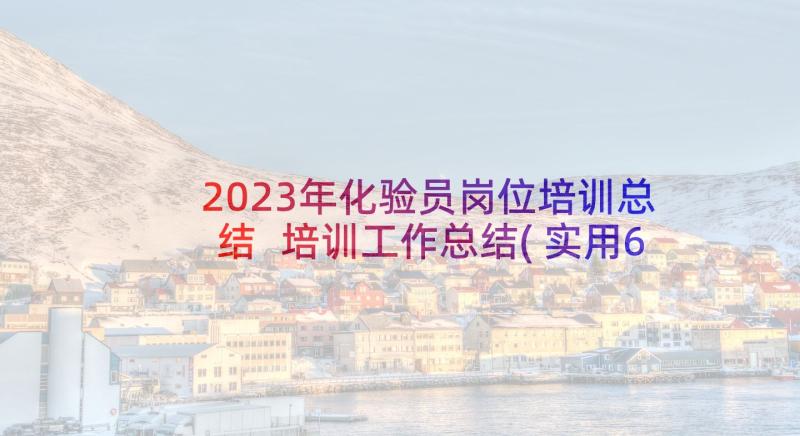 2023年化验员岗位培训总结 培训工作总结(实用6篇)