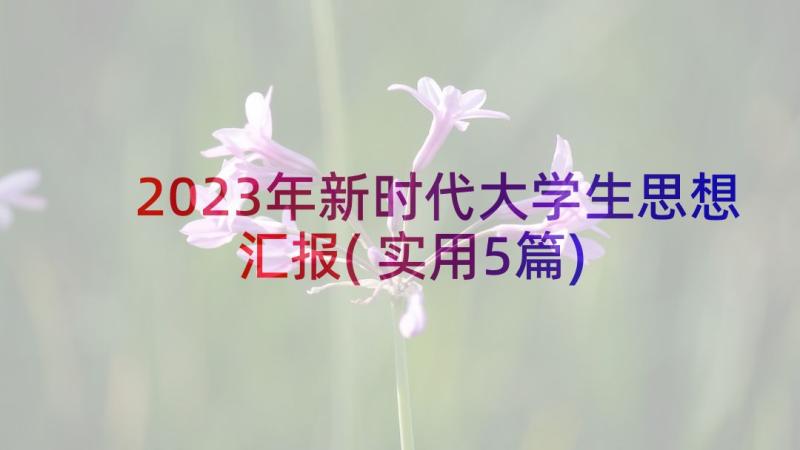 2023年新时代大学生思想汇报(实用5篇)