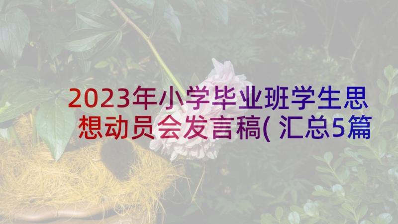 2023年小学毕业班学生思想动员会发言稿(汇总5篇)