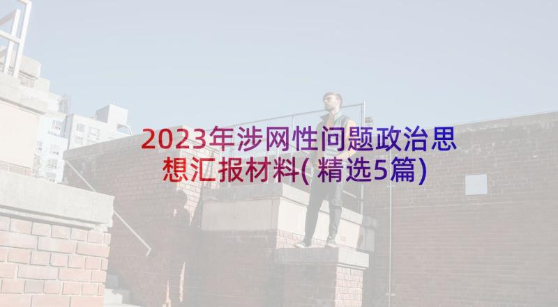 2023年涉网性问题政治思想汇报材料(精选5篇)