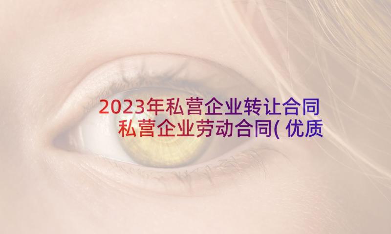 2023年私营企业转让合同 私营企业劳动合同(优质9篇)