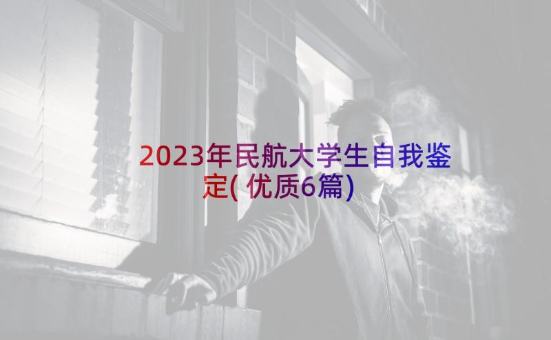 2023年民航大学生自我鉴定(优质6篇)