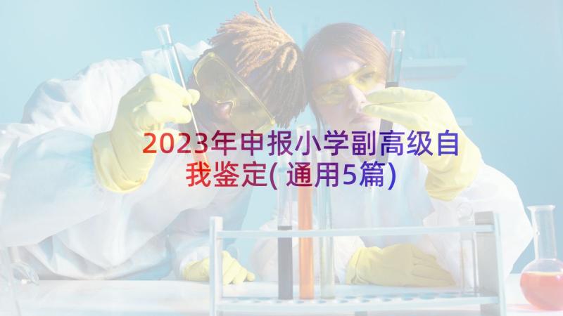 2023年申报小学副高级自我鉴定(通用5篇)