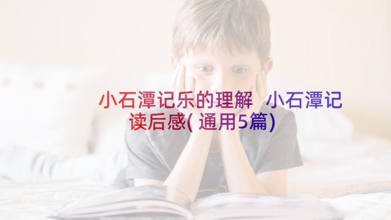 小石潭记乐的理解 小石潭记读后感(通用5篇)