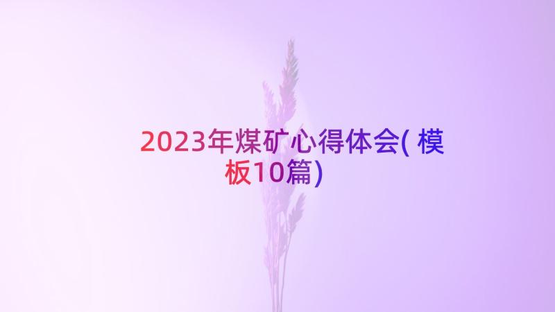 2023年煤矿心得体会(模板10篇)