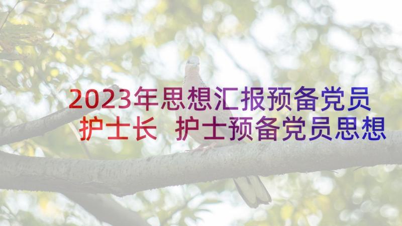 2023年思想汇报预备党员护士长 护士预备党员思想汇报(汇总5篇)