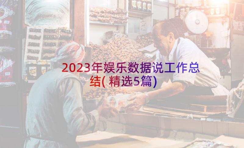 2023年娱乐数据说工作总结(精选5篇)