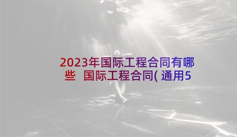 2023年国际工程合同有哪些 国际工程合同(通用5篇)