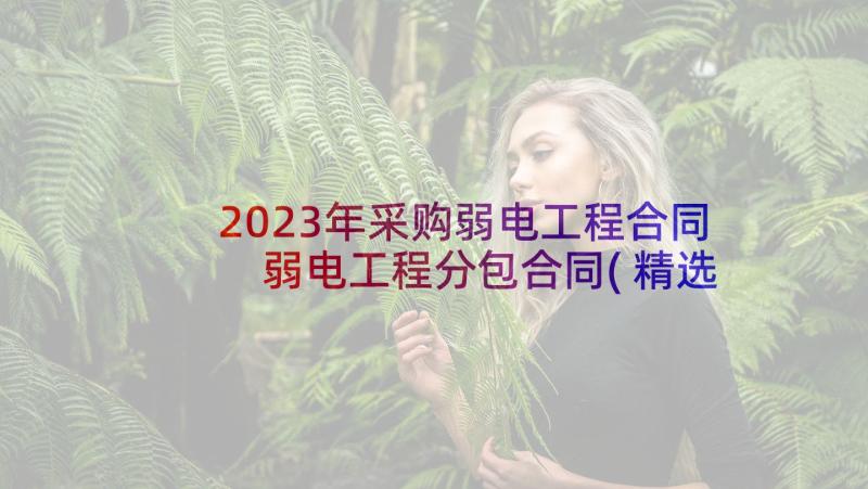 2023年采购弱电工程合同 弱电工程分包合同(精选5篇)