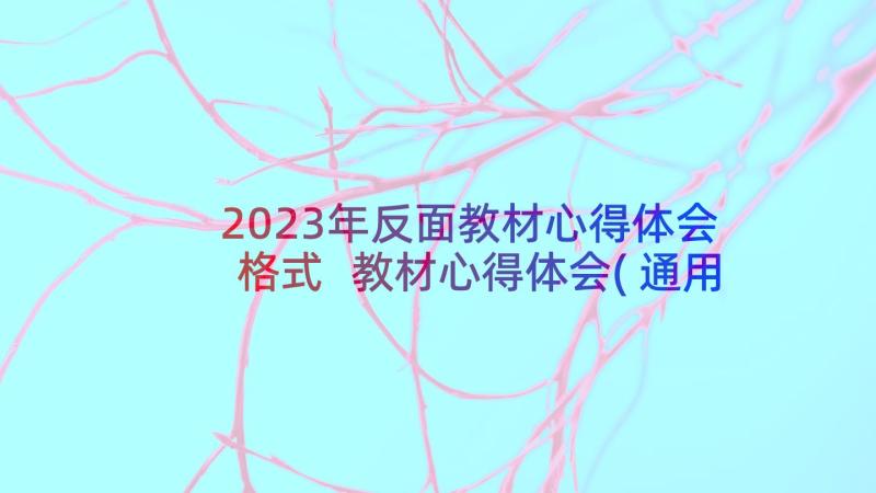 2023年反面教材心得体会格式 教材心得体会(通用7篇)