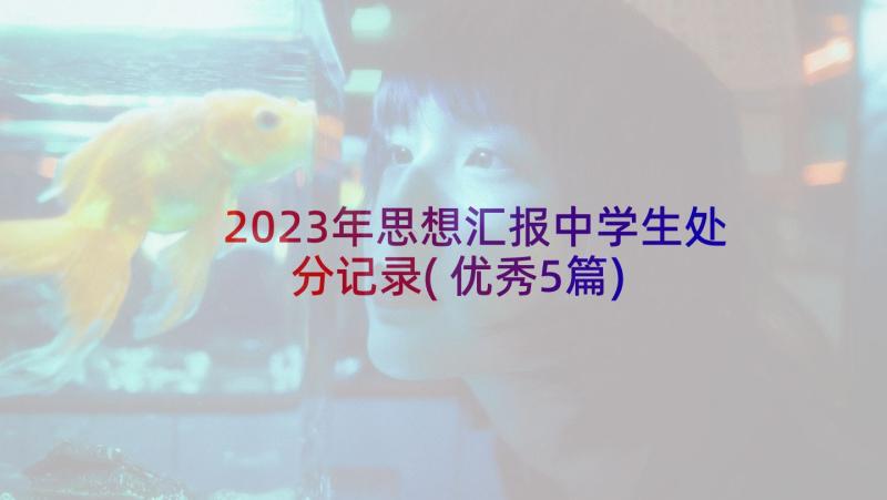 2023年思想汇报中学生处分记录(优秀5篇)