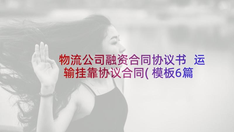 物流公司融资合同协议书 运输挂靠协议合同(模板6篇)