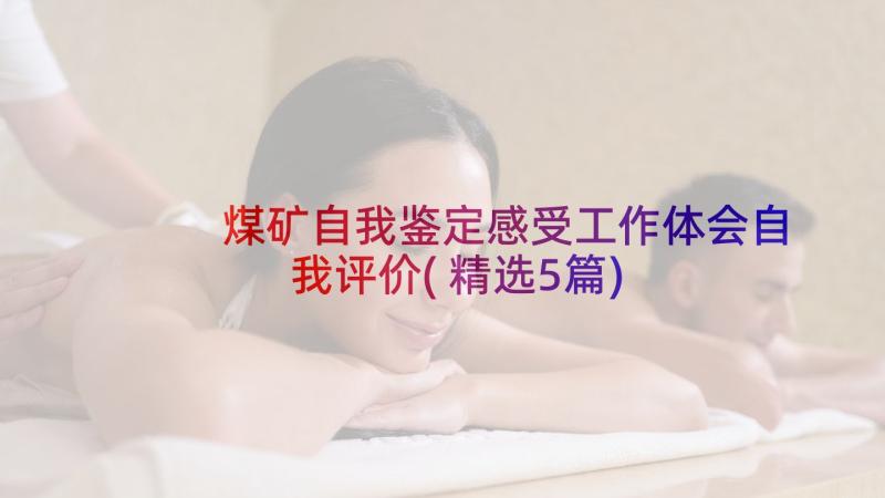 煤矿自我鉴定感受工作体会自我评价(精选5篇)