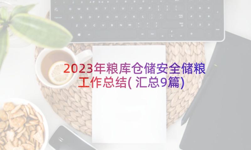 2023年粮库仓储安全储粮工作总结(汇总9篇)