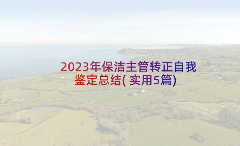 2023年保洁主管转正自我鉴定总结(实用5篇)