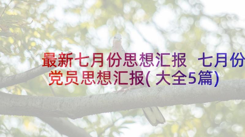 最新七月份思想汇报 七月份党员思想汇报(大全5篇)