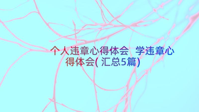 个人违章心得体会 学违章心得体会(汇总5篇)