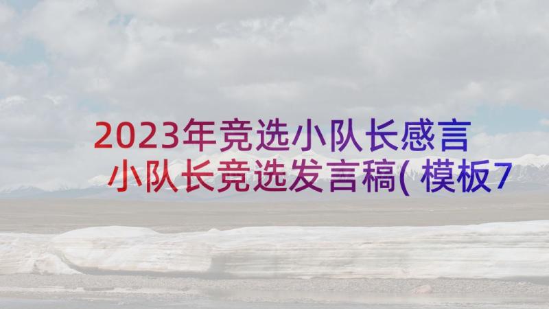 2023年竞选小队长感言 小队长竞选发言稿(模板7篇)