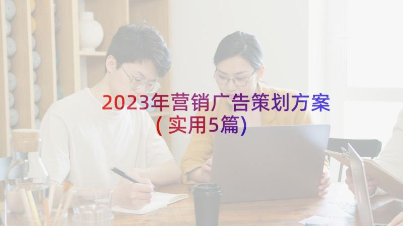 2023年营销广告策划方案(实用5篇)