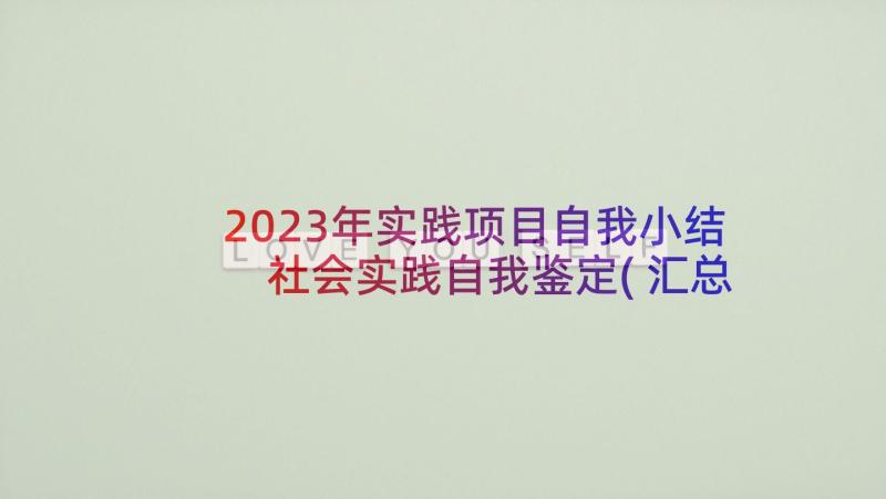 2023年实践项目自我小结 社会实践自我鉴定(汇总10篇)