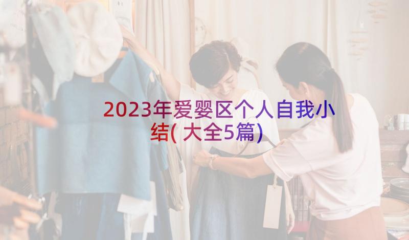 2023年爱婴区个人自我小结(大全5篇)